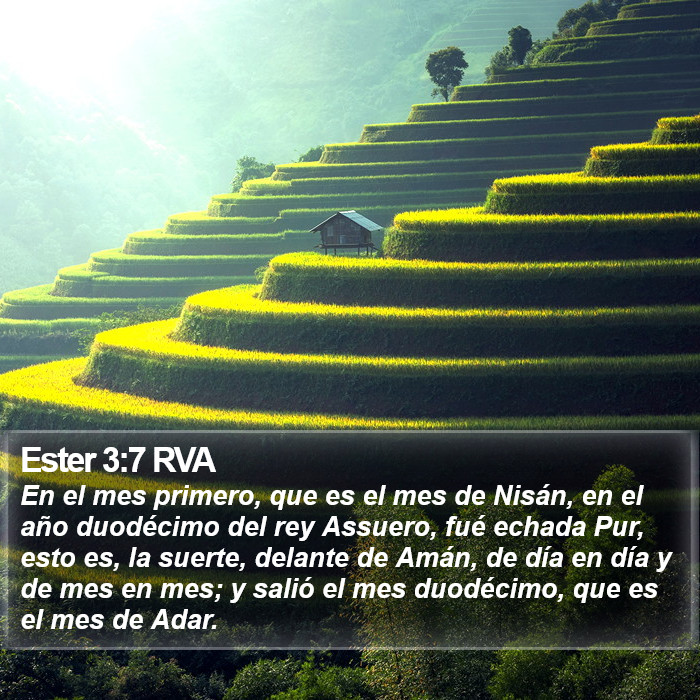 Ester 3:7 RVA Bible Study