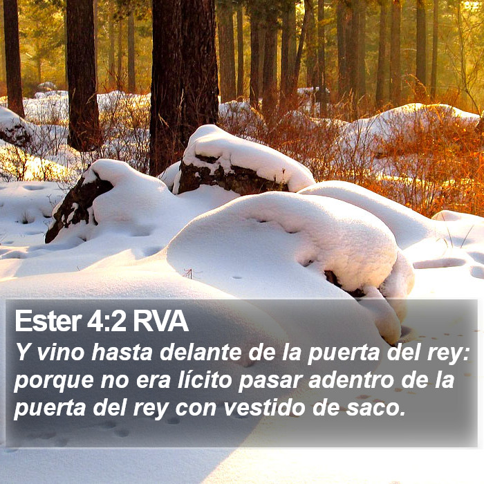 Ester 4:2 RVA Bible Study