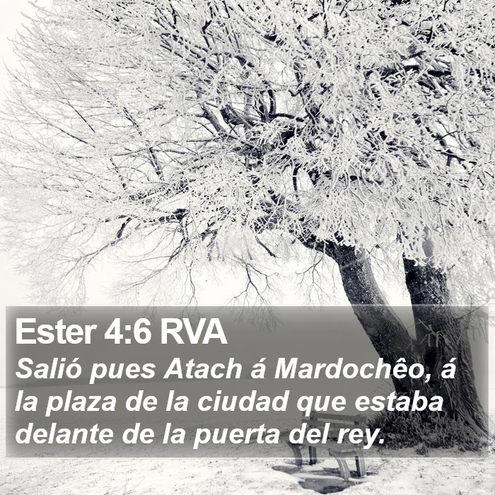 Ester 4:6 RVA Bible Study