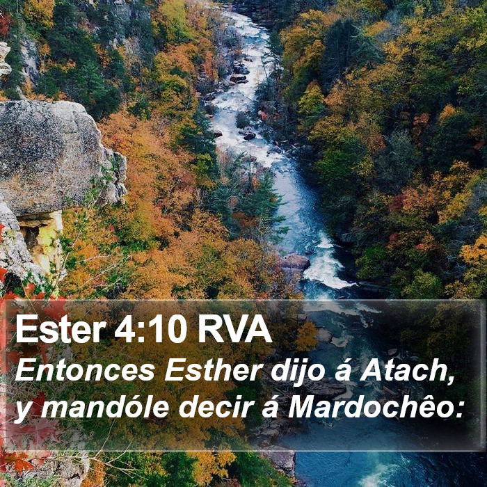 Ester 4:10 RVA Bible Study
