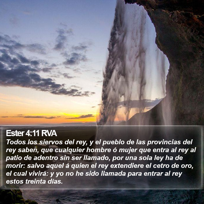 Ester 4:11 RVA Bible Study