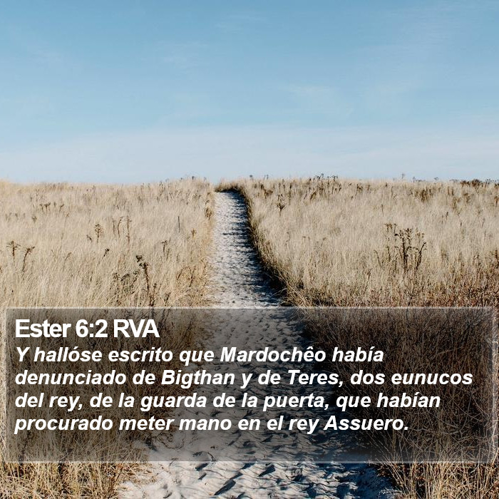 Ester 6:2 RVA Bible Study