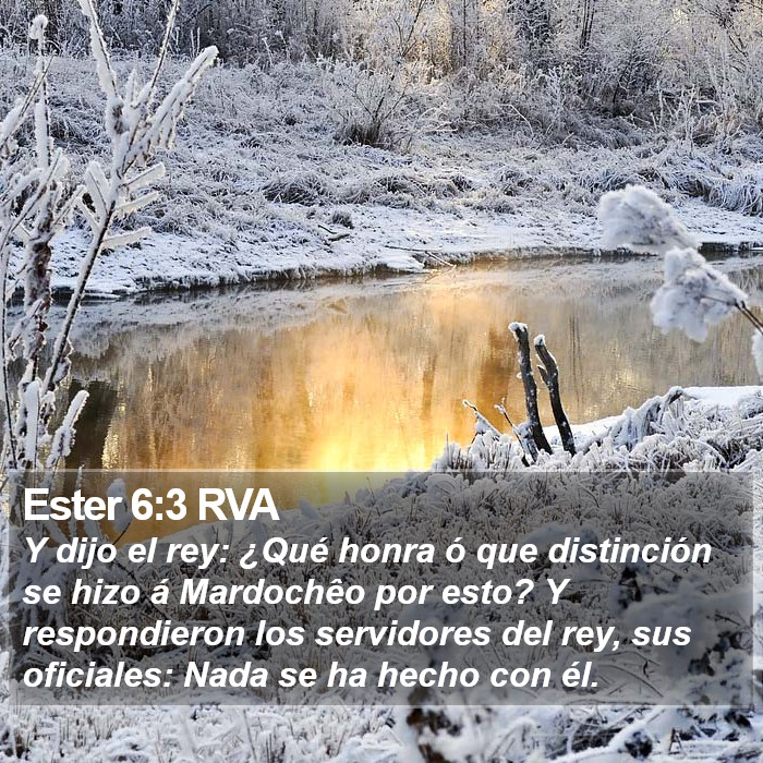 Ester 6:3 RVA Bible Study