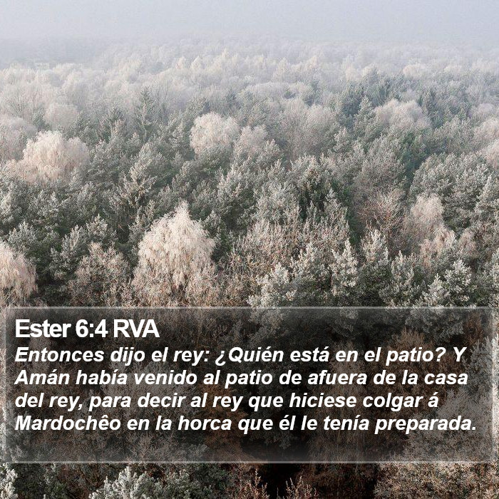 Ester 6:4 RVA Bible Study