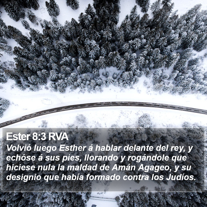 Ester 8:3 RVA Bible Study