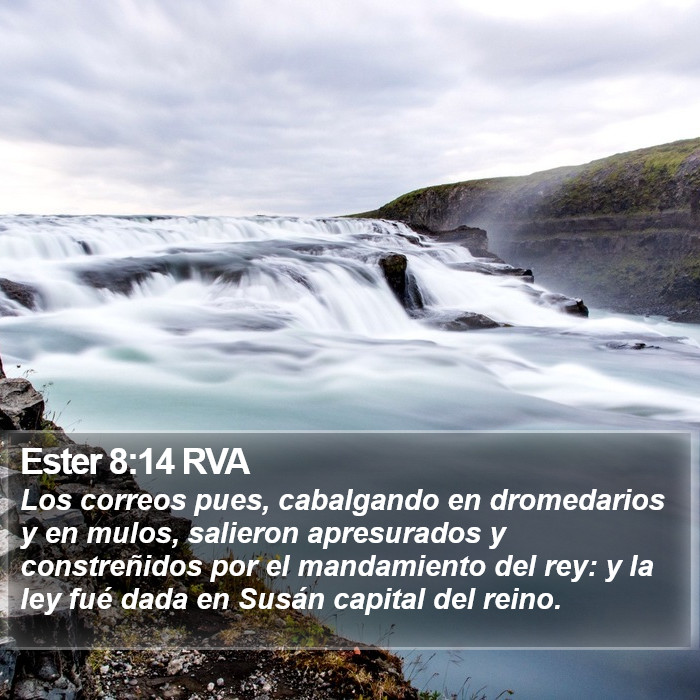 Ester 8:14 RVA Bible Study
