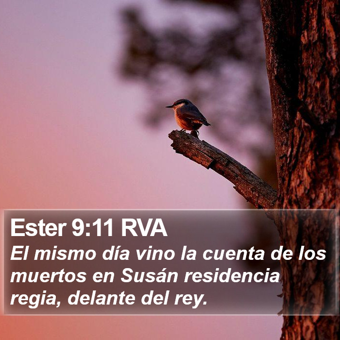 Ester 9:11 RVA Bible Study
