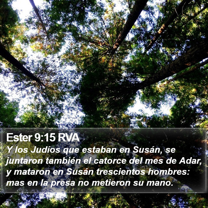 Ester 9:15 RVA Bible Study