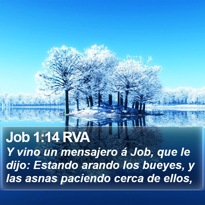 Job 1:14 RVA Bible Study