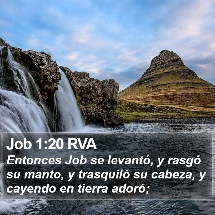 Job 1:20 RVA Bible Study