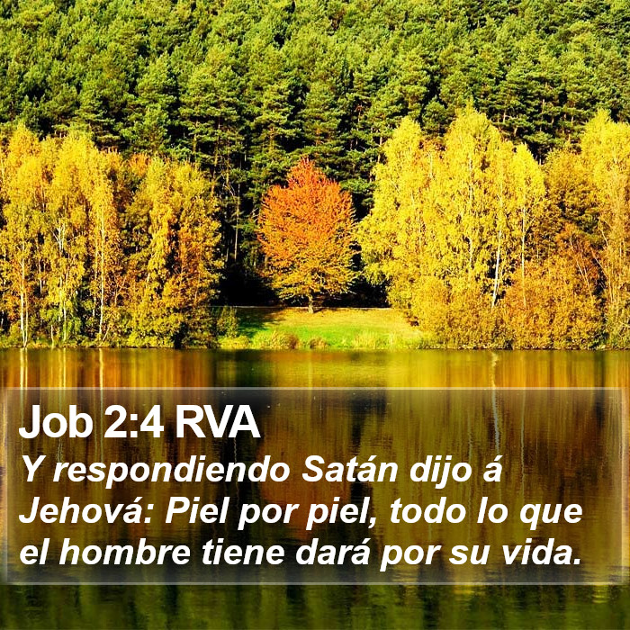 Job 2:4 RVA Bible Study