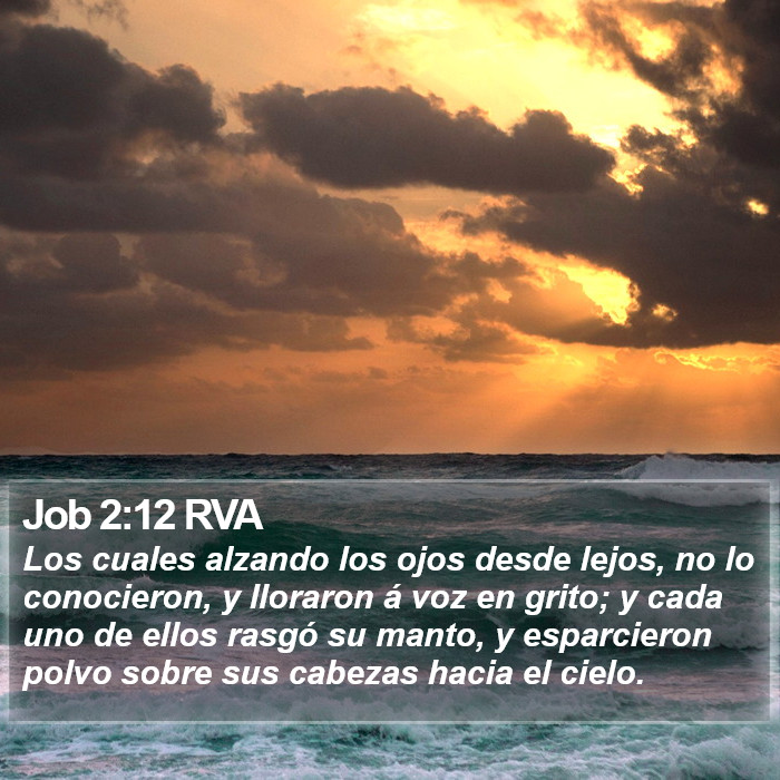 Job 2:12 RVA Bible Study