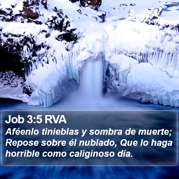 Job 3:5 RVA Bible Study