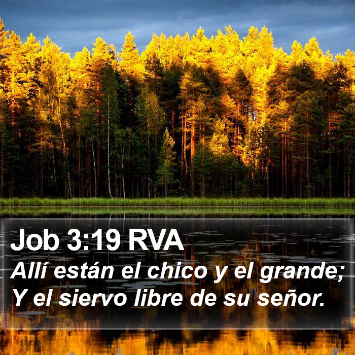 Job 3:19 RVA Bible Study