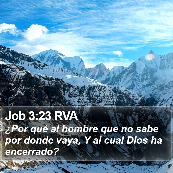 Job 3:23 RVA Bible Study