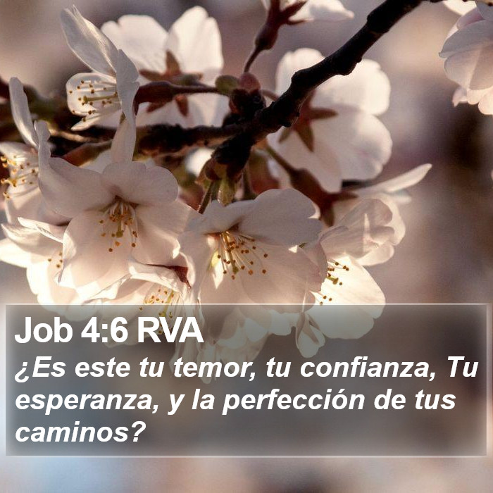 Job 4:6 RVA Bible Study