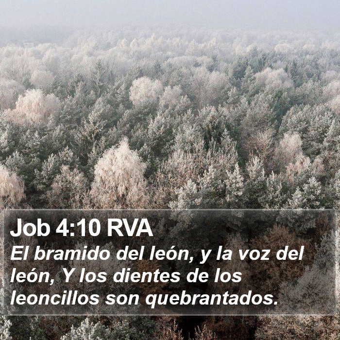 Job 4:10 RVA Bible Study