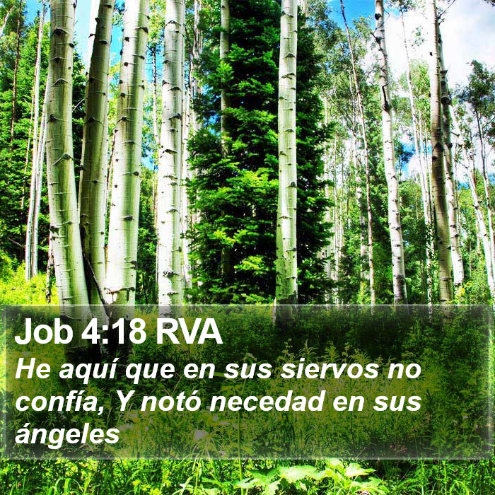 Job 4:18 RVA Bible Study