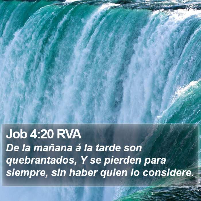 Job 4:20 RVA Bible Study