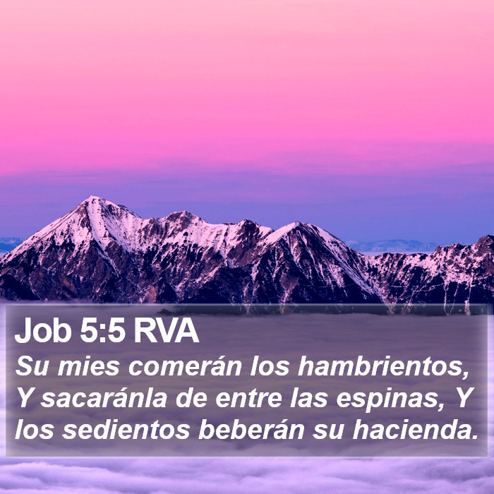 Job 5:5 RVA Bible Study