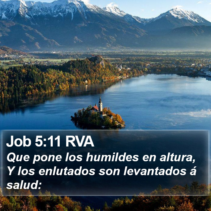 Job 5:11 RVA Bible Study