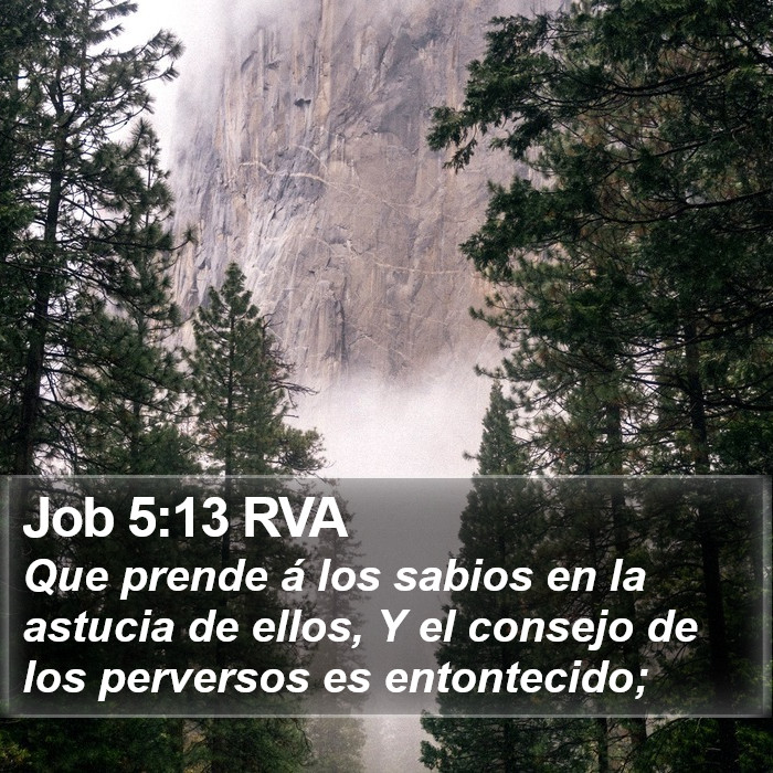 Job 5:13 RVA Bible Study