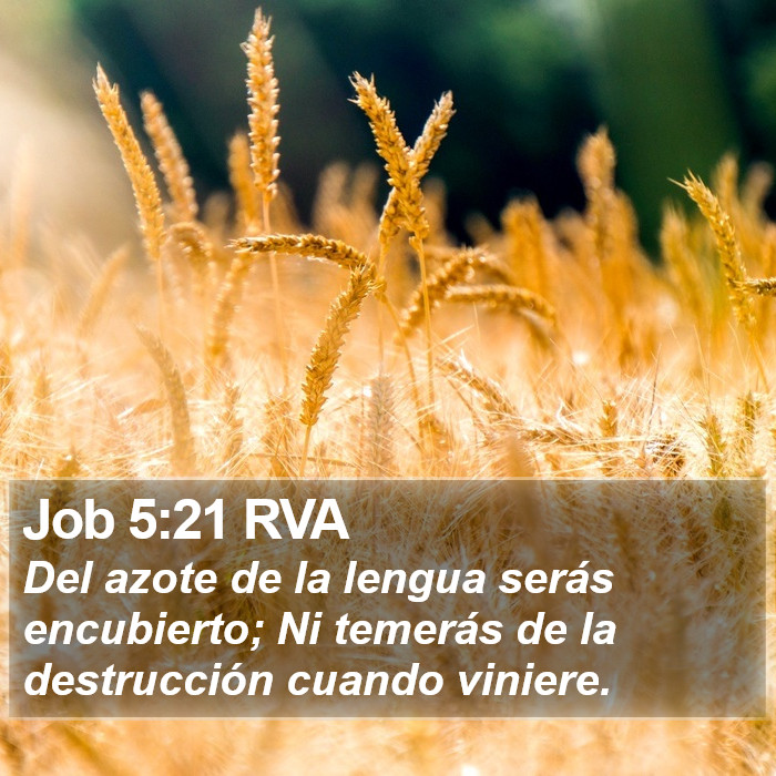 Job 5:21 RVA Bible Study