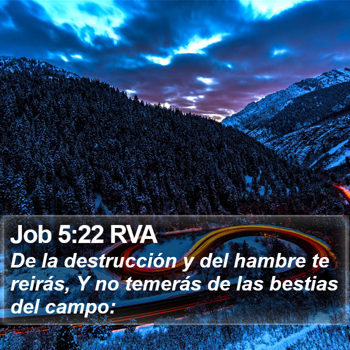 Job 5:22 RVA Bible Study