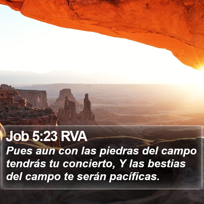 Job 5:23 RVA Bible Study