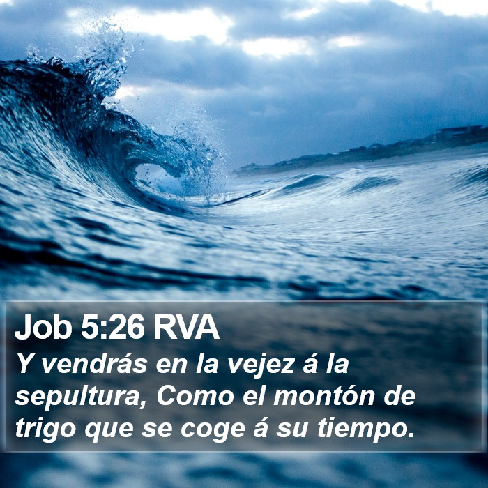 Job 5:26 RVA Bible Study