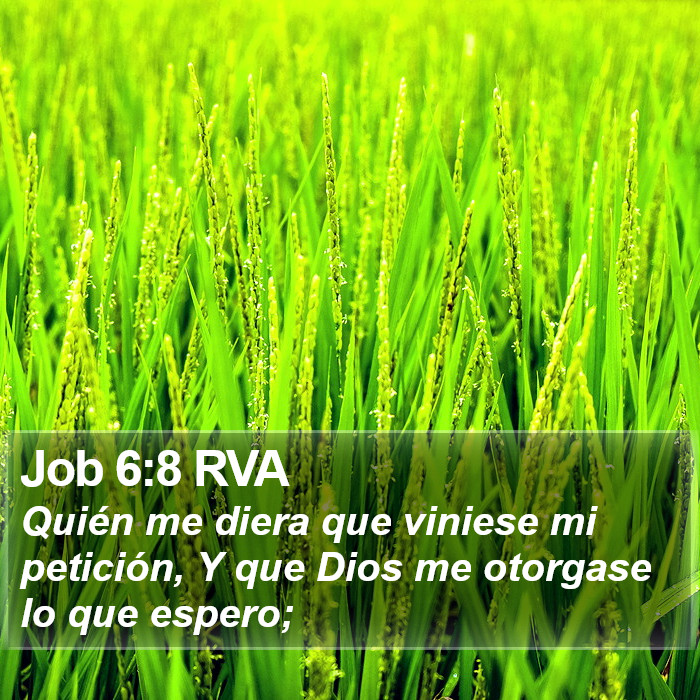 Job 6:8 RVA Bible Study