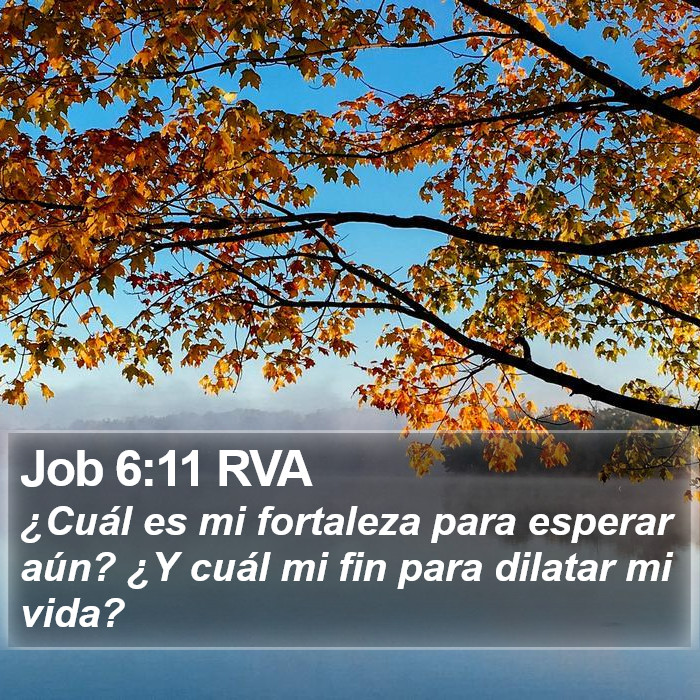 Job 6:11 RVA Bible Study