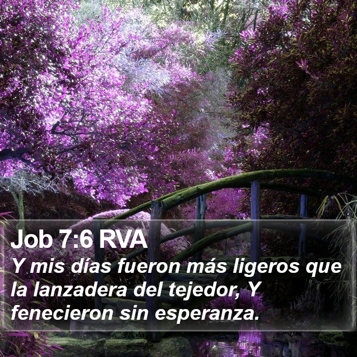 Job 7:6 RVA Bible Study