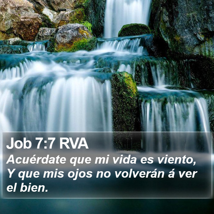 Job 7:7 RVA Bible Study