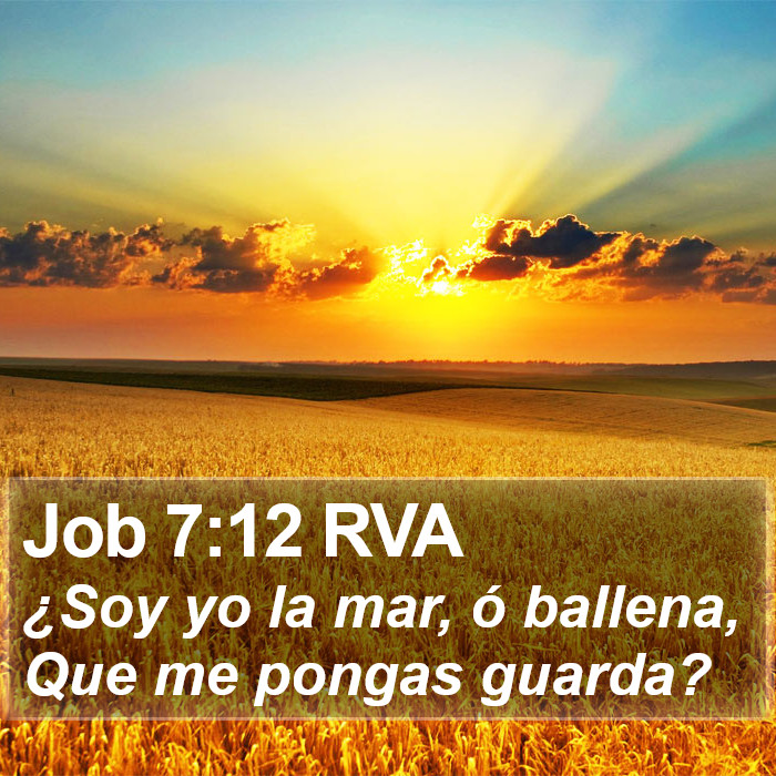 Job 7:12 RVA Bible Study