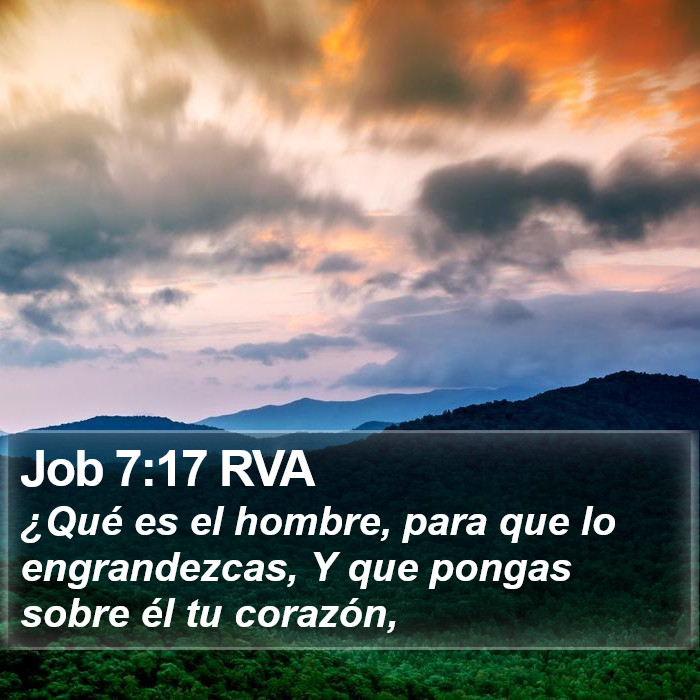 Job 7:17 RVA Bible Study