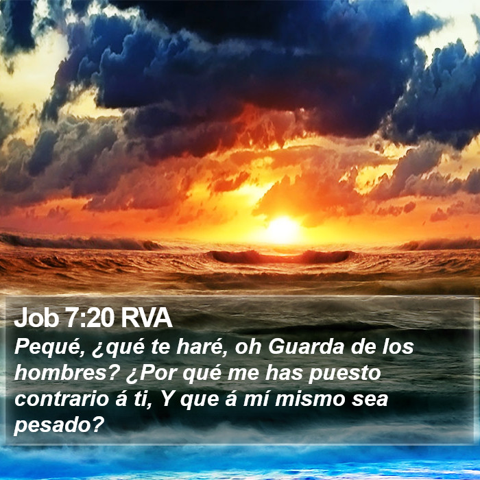 Job 7:20 RVA Bible Study