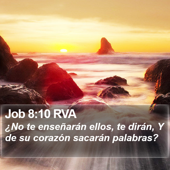 Job 8:10 RVA Bible Study