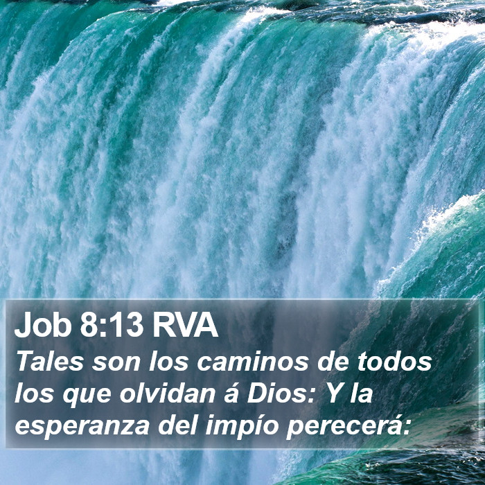 Job 8:13 RVA Bible Study