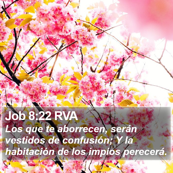 Job 8:22 RVA Bible Study