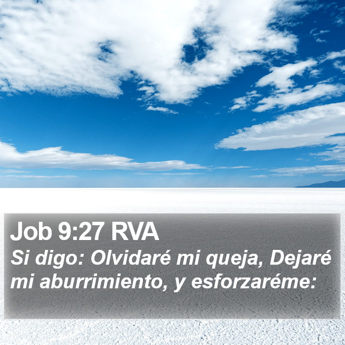 Job 9:27 RVA Bible Study