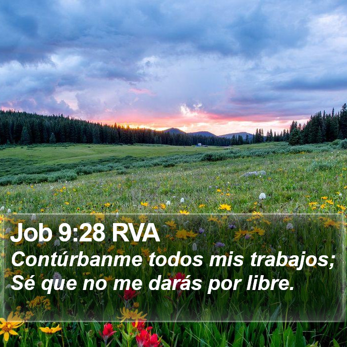 Job 9:28 RVA Bible Study