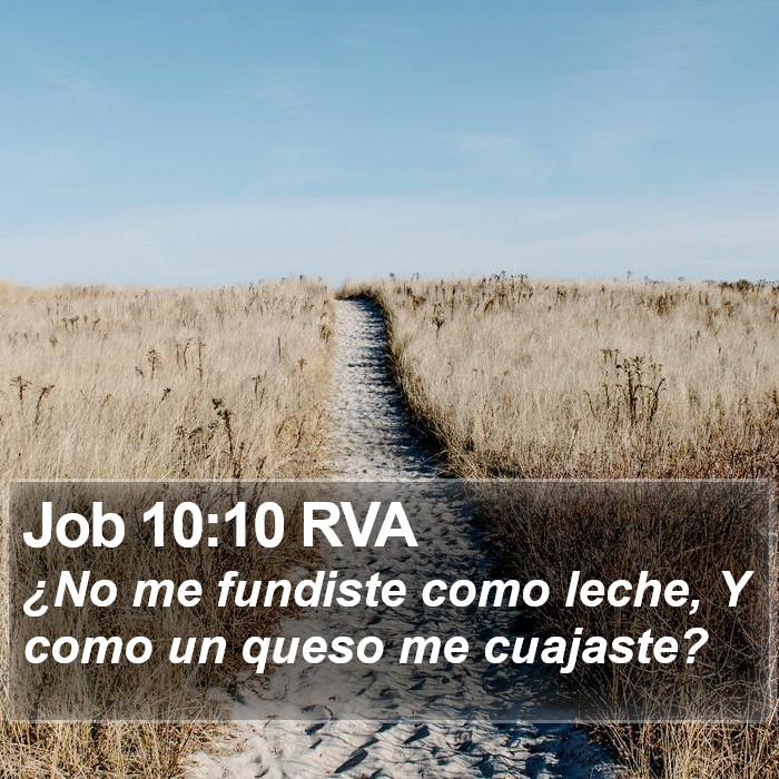 Job 10:10 RVA Bible Study