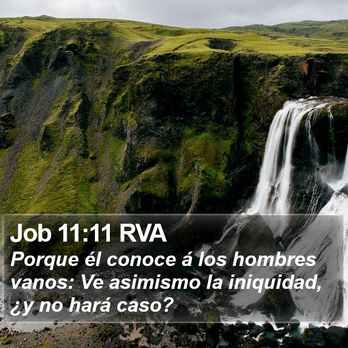 Job 11:11 RVA Bible Study