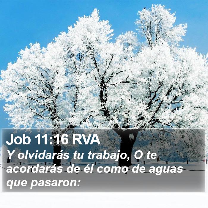 Job 11:16 RVA Bible Study