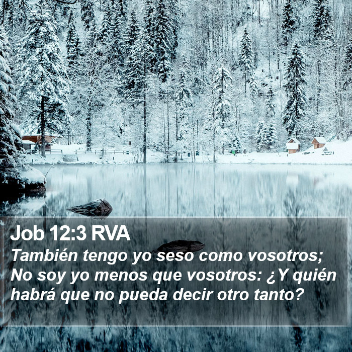 Job 12:3 RVA Bible Study