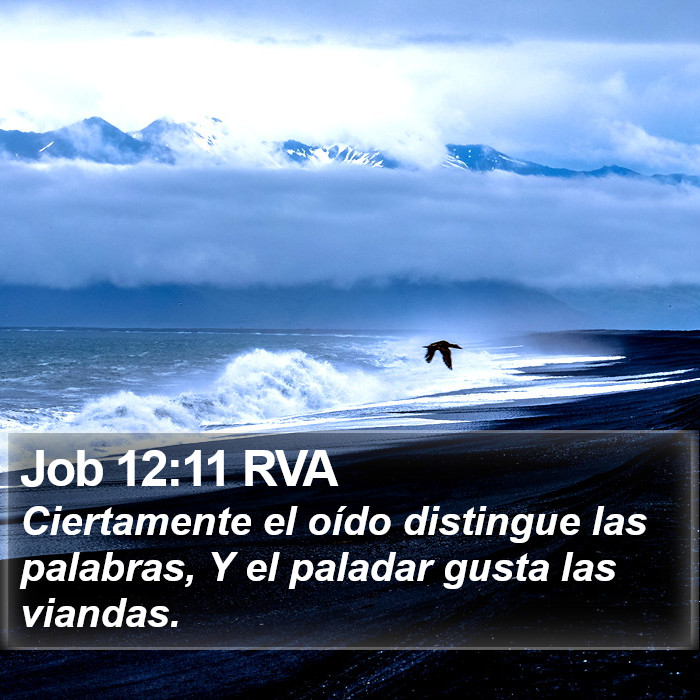 Job 12:11 RVA Bible Study