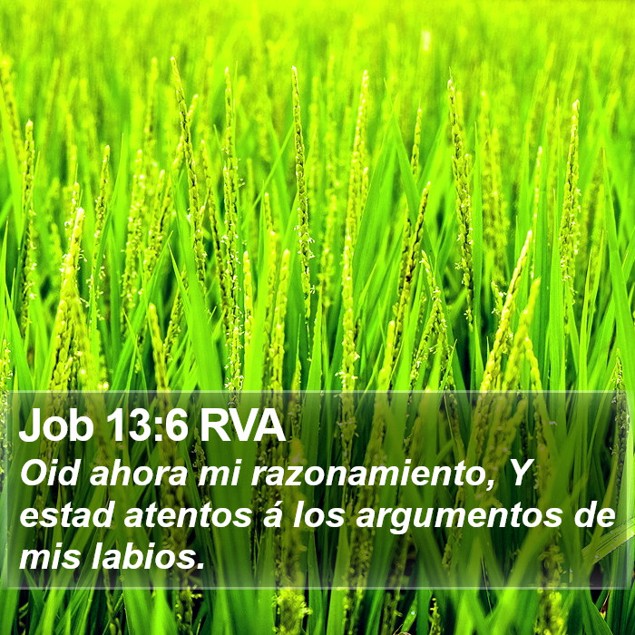 Job 13:6 RVA Bible Study