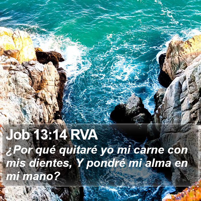 Job 13:14 RVA Bible Study