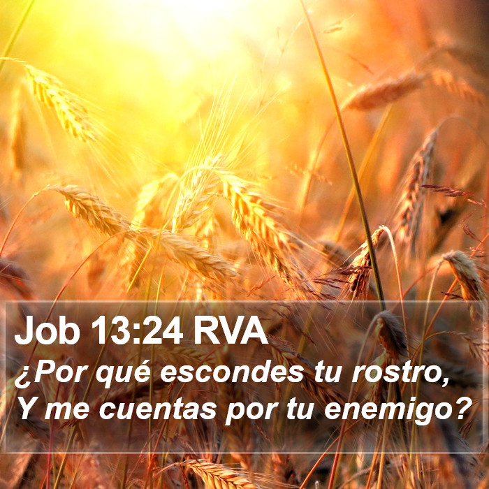 Job 13:24 RVA Bible Study